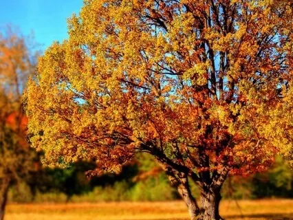 Present Moment Music For Stress Relief