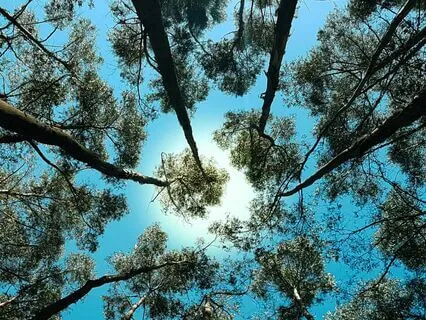 Present Moment Reset