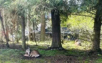 Present Moment Wonderful Moment