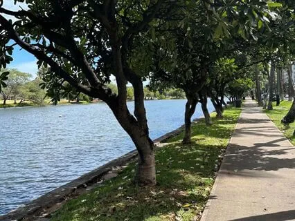 Present With Gratitude- A 10 Min Gentle Flow For Grounding