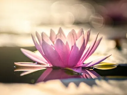 Preserving Children's Energy Bodies: Early Practices