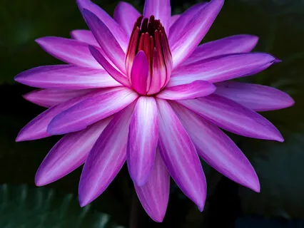 Preside Open 1: The Sponge Meditation