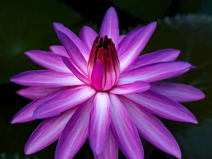 Preside Open 13:  The Magic Of Minute 40 In Meditation