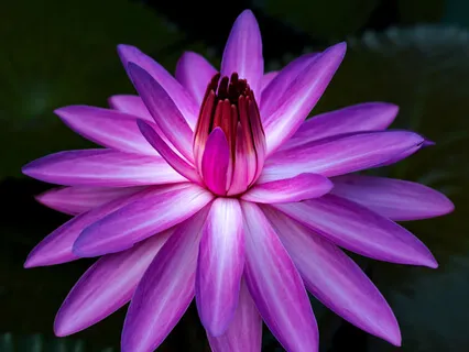 Preside Open 17: Is The Ocean Of Bliss Dangerous?