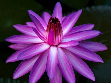 Preside Open 7: The "Visualize A Bowl" Launch Exercise