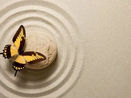 Press Pause -  A Body Scan