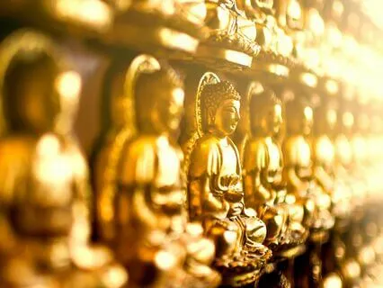 Press Pause - Developing The Witness (Trauma-Sensitive)