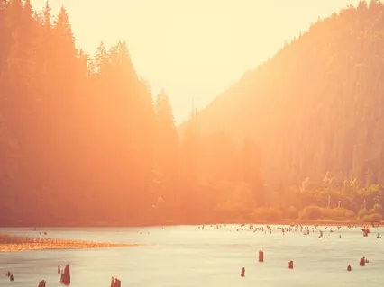 Press Pause - Yoga Nidra For Deep Rest