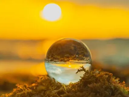 Press Pause - Your Slow Down Button