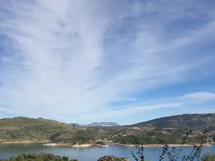 Prestando Atenção à Respiração (MBSR)