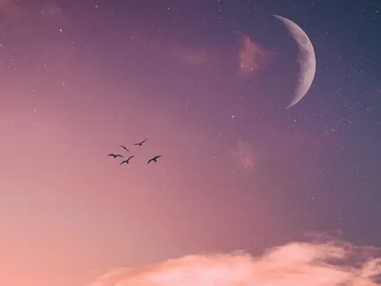 Pretty Little Ambience: Glow From The Moon Festival