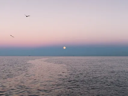 Pretty Little Ambience: Just Breathe