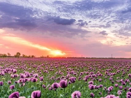 Pretty Little Ambience: Waking Up In The Sun