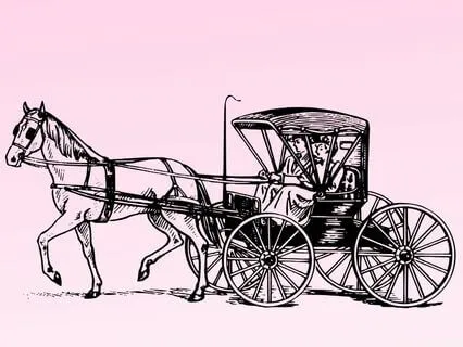 29 Pride And Prejudice  - Stephanie Poppins