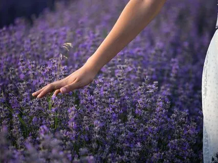 Primal Drives: Navigating Instincts In Modern Life