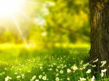 'Prime Your Mind For Studying' Guided Meditation