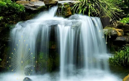 Primed For Prosperity