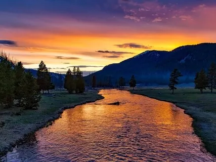 Primordial Song Mini Relaxation Journey