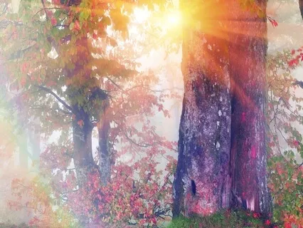 Primordial Sound Mantra Meditation With Third Chakra