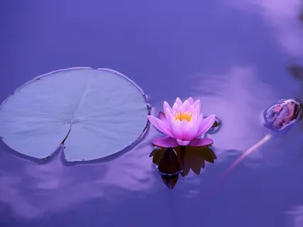 Primordial Sound Mantra Meditation