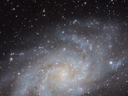 Primordial Sounds:  For Yoga, Meditation And Performance