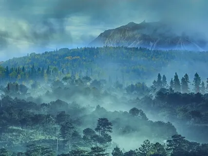 Princess Zelda Theme