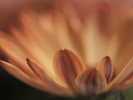 Принятие Себя