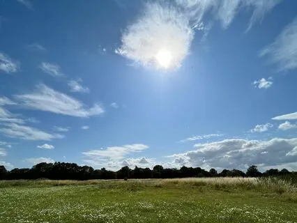 Prithvi Tattva Dharana - Connect With The Earth Element