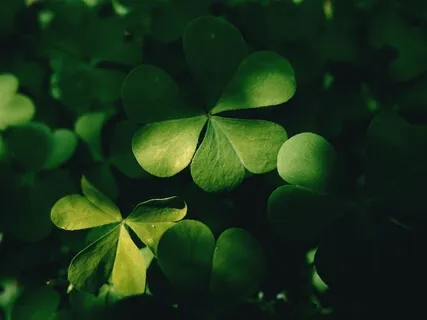 Привлечение Изобилия и Успеха