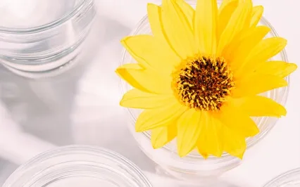 Про окружение