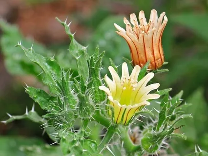 Про Ожидания и Разочарования