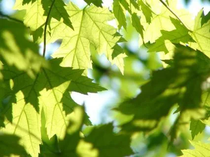 Process Feelings Of Loving Sadness