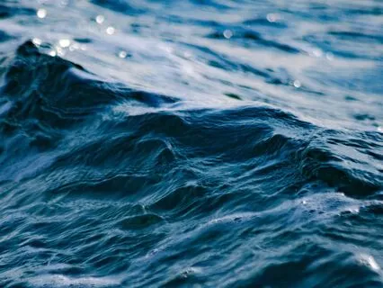 Process Your Emotions Meditation For Optimal Well-Being