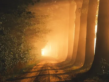 Procrastination & Stress 