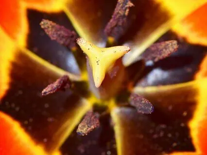 Procrastination Depression : Vibrational Clarity