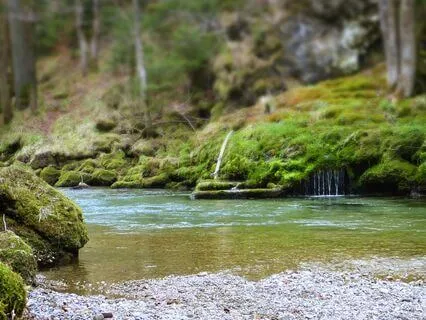 Procrastination: Evidence-Based Meditation Tips Part 2