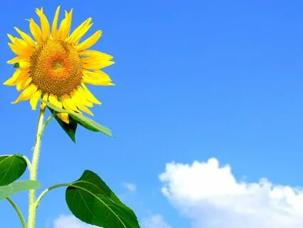 Procrastination To Progress: Breathing And Affirmations