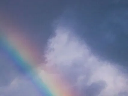 Productive Or Present: Mindfulness In A Chaotic World