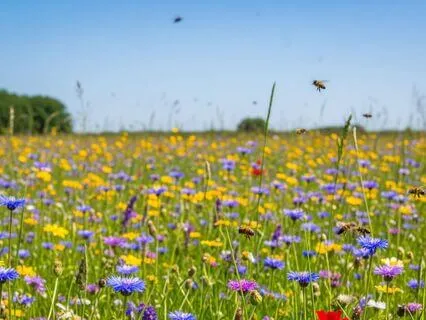 Productivity Boost For A Busy Mind