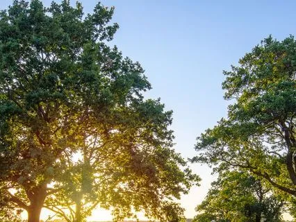 Productivity Flow State: Focus Music For Work Sessions