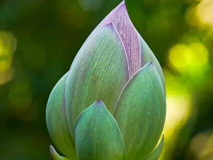 Self-Compassion ~ Embracing Your Past Selves With Love