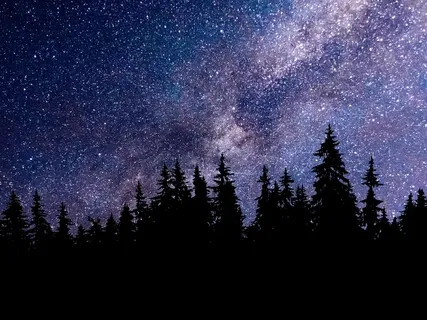 Profound Sleep - "Be Patient "