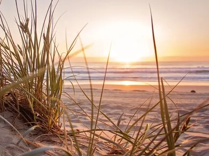 Profundización consciente (Conscious deepening)