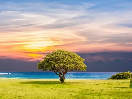 Прогреcивна релакcація_інcтрукція