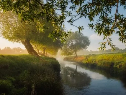 Прогулка к Ручью - Релаксация