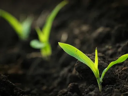 Program Financial Abundance Mindset: Subliminal Affirmations