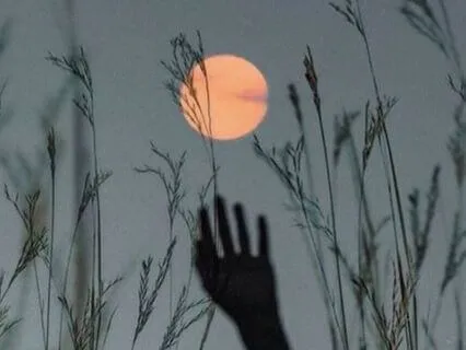 Program Your Mind Before Sleep