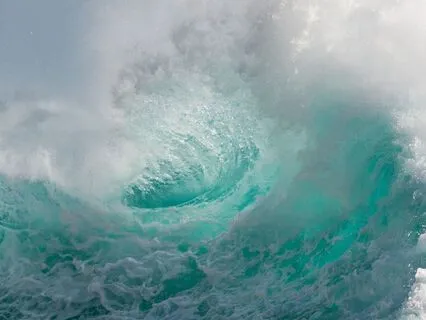 Program Your Reality