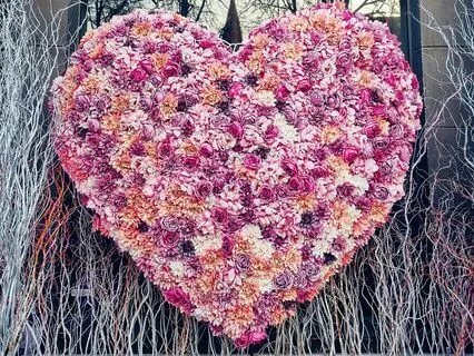 Programs Of Judgment Healing Attunement