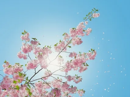 Progressive Body Awareness